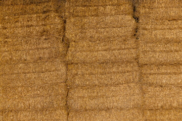 darkened wheat during storage in the field in winter