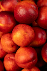 a small harvest of ripe washed nectarines