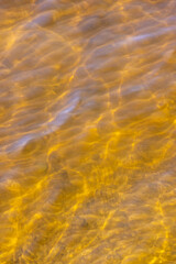 dark muddy lake water in winter without snow