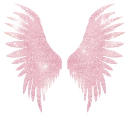 PNG Angel wings icon pink bird white background.