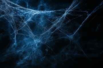 Cobweb texture for Halloween. Spider web with intricate patterns on a dark background