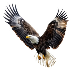 PNG Bald eagle soaring over a pristine landscape