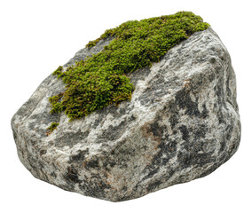 PNG Moss-covered rock in a natural setting
