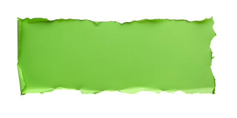 Fototapeta premium Green paper with torn edges isolated on transparent background