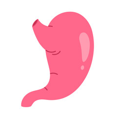 Human stomach. Internal organ of digestive system. Body anatomy, healthcare and medicine concept. Isolated vector illustration in cartoon style
