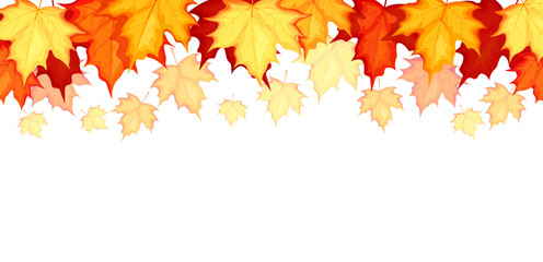 Autumn background with falling maple leaves in cartoon style. Vector illustration of maple leaves in different colors: yellow, orange, red, burgundy, isolated on white background. Wallpaper.Banner.