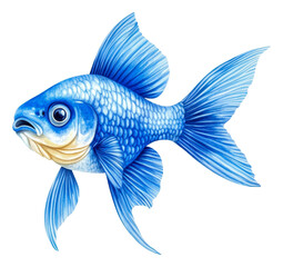 PNG Colorful blue fish swimming gracefully in water