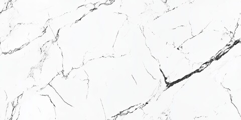 Fototapeta premium A sophisticated marble texture with graceful gray veins creates a timeless backdrop