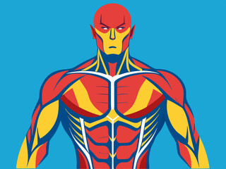 Muscles of the Chest