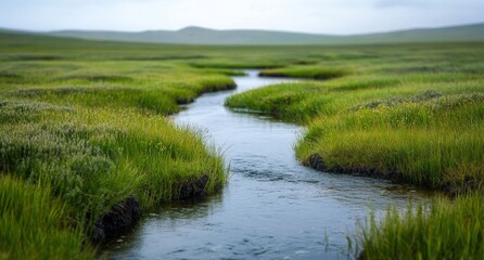 Lush green meadow with white flowers beside a flowing river under a cloudy sky in spring