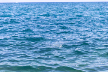 Plastic in the  sea water