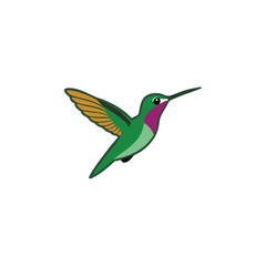 Obraz premium A flying Hummingbird vector illustration clipart, white background