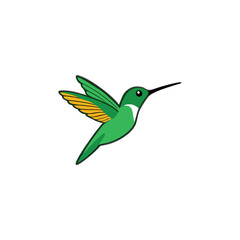 Obraz premium A flying Hummingbird vector illustration clipart, white background