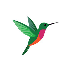 Obraz premium A flying Hummingbird vector illustration clipart, white background