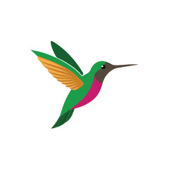 Fototapeta premium A flying Hummingbird vector illustration clipart, white background