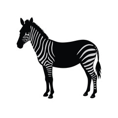 Fototapeta premium A standing zebra vector illustration clipart, black color silhouette, white background 