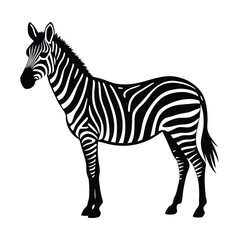 Fototapeta premium A standing zebra vector illustration clipart, black color silhouette, white background 