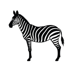 Obraz premium A standing zebra vector illustration clipart, black color silhouette, white background 