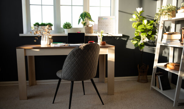 Minimalist home office setup with desk, comfortable chair, and natural light streaming through the window. Shelves with plants and books create serene, organized workspace, perfect for productivity
