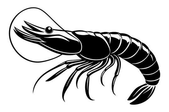 recommend clip art: shrimp vector silhouette, shrimp icon vector, Sea lobster	