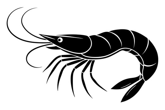 recommend clip art: shrimp vector silhouette, shrimp icon vector, Sea lobster	