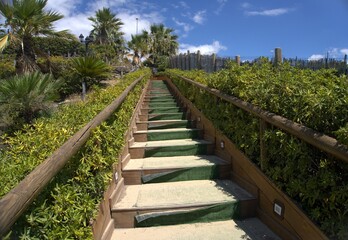 Stairs leading to the sky. Surrounded by palm trees and green bushes, there is a staircase leading...