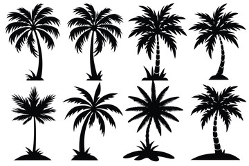 Fototapeta premium Simple Vector Palm Tree silhouette SVG icons and Beach Logo Designs in black and white and transparent background PNG file with Suns Clouds and Islands in the Ocean
