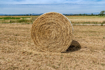 bales of animal feed ready for pick-up