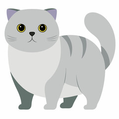 Scottish fold Cat vector art illustration