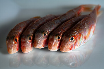 Salmonetes frescos
