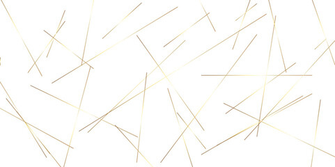 Abstract background with lines. Golden lines on White paper. Line wavy abstract vector technology line pattern background.
