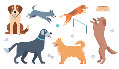 Set of Dogs in different poses. Cute happy pets. Domestic animals for home. Dog sitting, walking and jumping. Vector icons illustration isolated on white background.