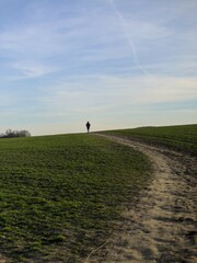 person walking on the field