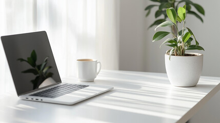 Fototapeta premium Office