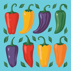 Set of Chili Vector