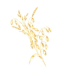 Oat stems with golden-yellow grains and dry herb leaves. Cereal and herbs watercolor clipart. Ideal for use in organic product branding, farm-to-table restaurant menus, or nature-inspired stationery