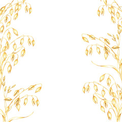Oat stems and dry herbs square frame with multiple golden-yellow grains and dry leaves. Watercolor clipart design for healthy food branding, eco-friendly packaging, or natural wellness products