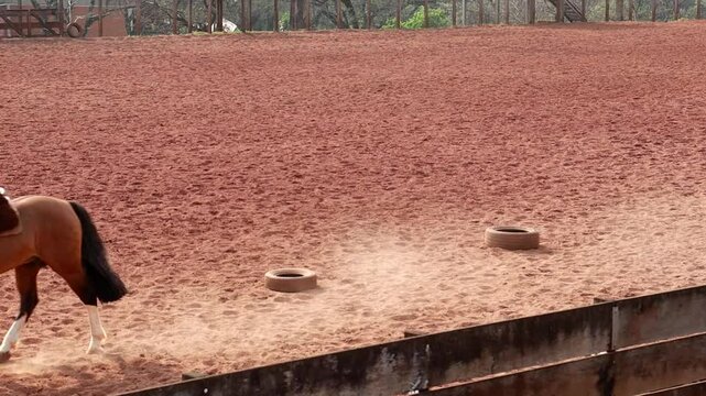 Mulher andando de cavalo em arena de treinos 