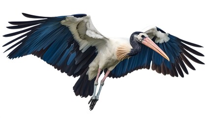 Naklejka premium Marabou Stork Bird Flying on White Background, Photo Realistic, Wallpaper, Cover and Screen for Smartphone, PC, Laptop, 9:16 and 16:9 Format