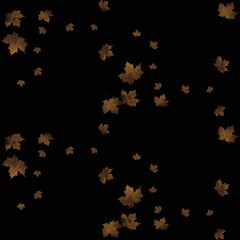 Golden autumn leaves falling gracefully on a black background during the fall season