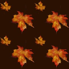 Autumn leaves in vibrant colors arranged against a dark background for seasonal decor