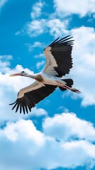 Fototapeta premium Marabou Stork Bird Flying Under Blue Sky, Photo Realistic, Wallpaper, Cover and Screen for Smartphone, PC, Laptop, 9:16 and 16:9 Format