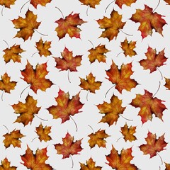 Fototapeta premium Colorful autumn leaves scattered against a light background in a repeating pattern