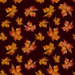 Colorful autumn leaves scattered on a dark background creating a warm seasonal pattern