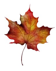 Vibrant autumn maple leaf showcasing warm hues in a peaceful natural setting