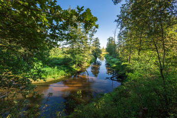 A river with trees on either side