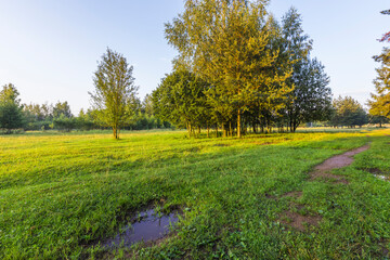 A field of grass with a small pond in the middle