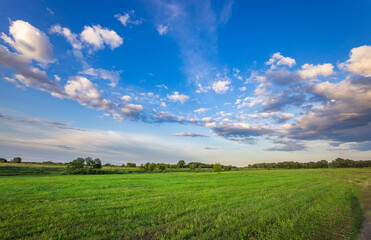 A vast green field under a blue sky with fluffy clouds evokes tranquility and peace