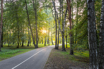 Obraz premium A road with trees on both sides and a sun shining on the road