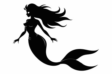 Mermaid silhouette, mermaid tail, shells and starfish vector illustration.